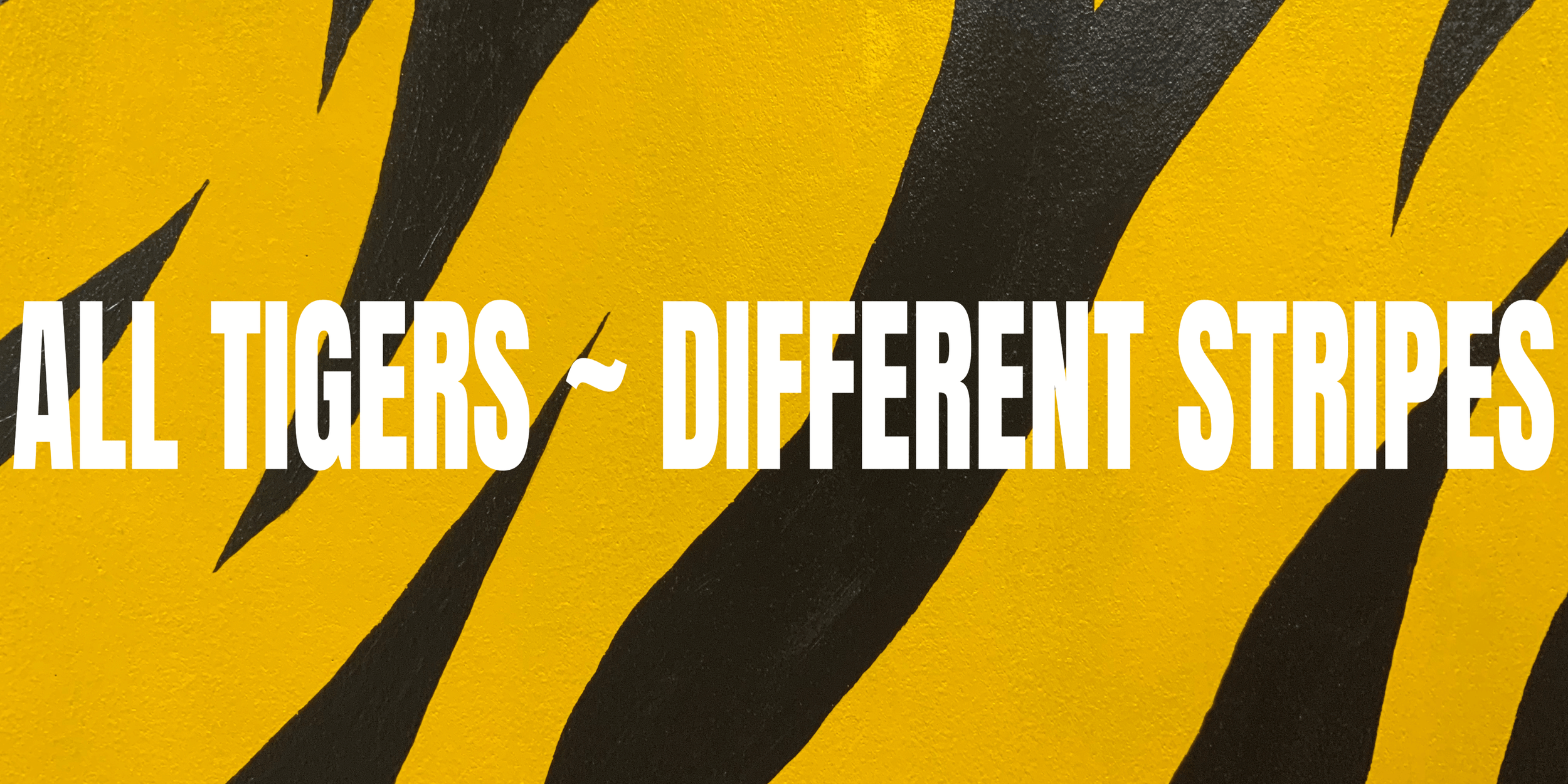 Tiger Talk  - Incredible school musicians