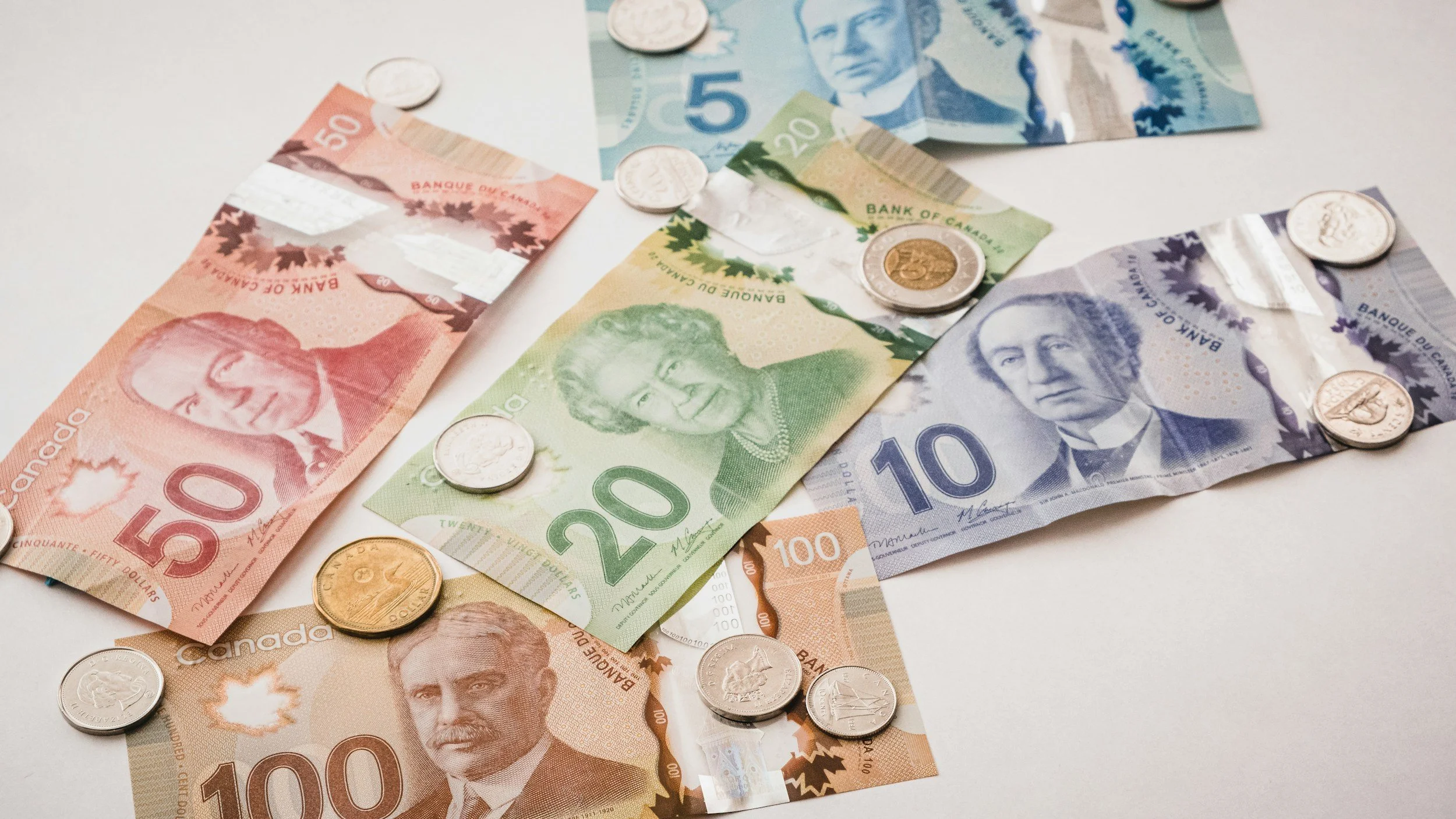 Treasurer confirms auditors stay, budgets are good