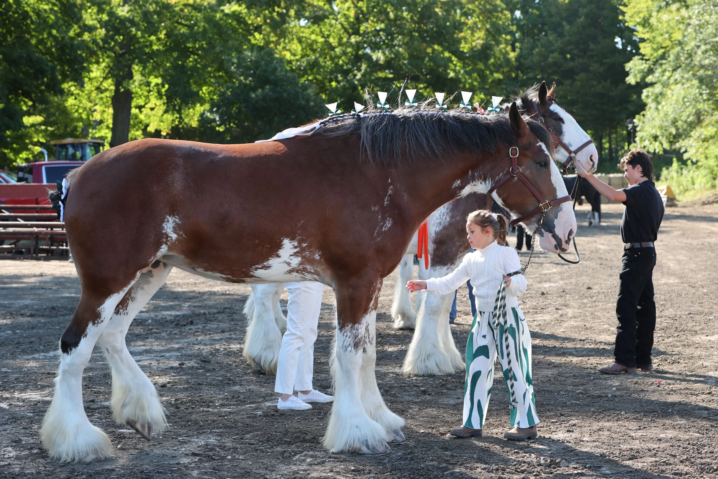 More than a midway: why your local fair needs you