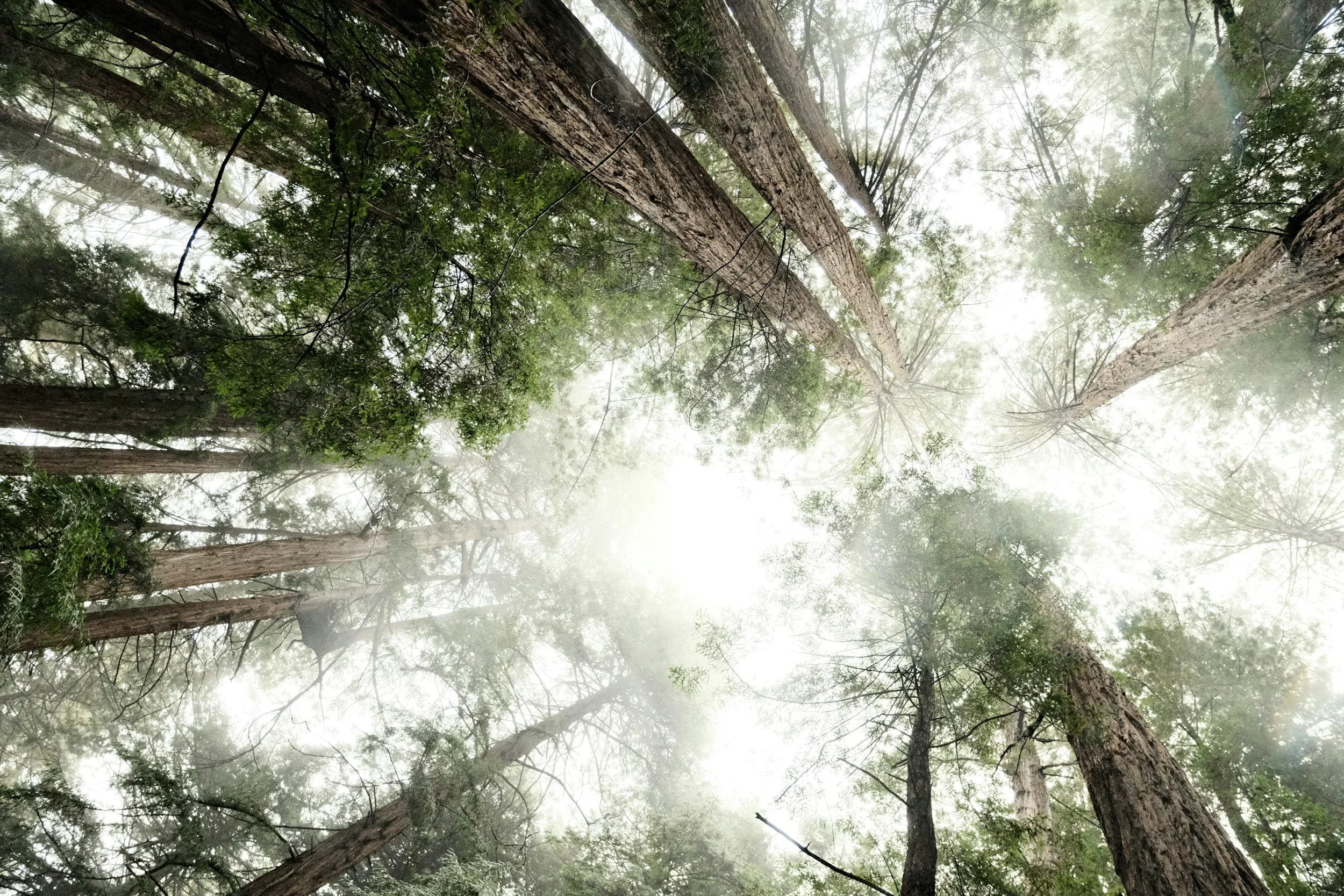Region hosts forum to show preparing for climate change starts close to home
