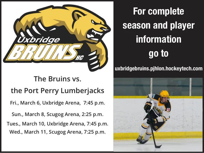 Bruins continue to dazzle and dominate