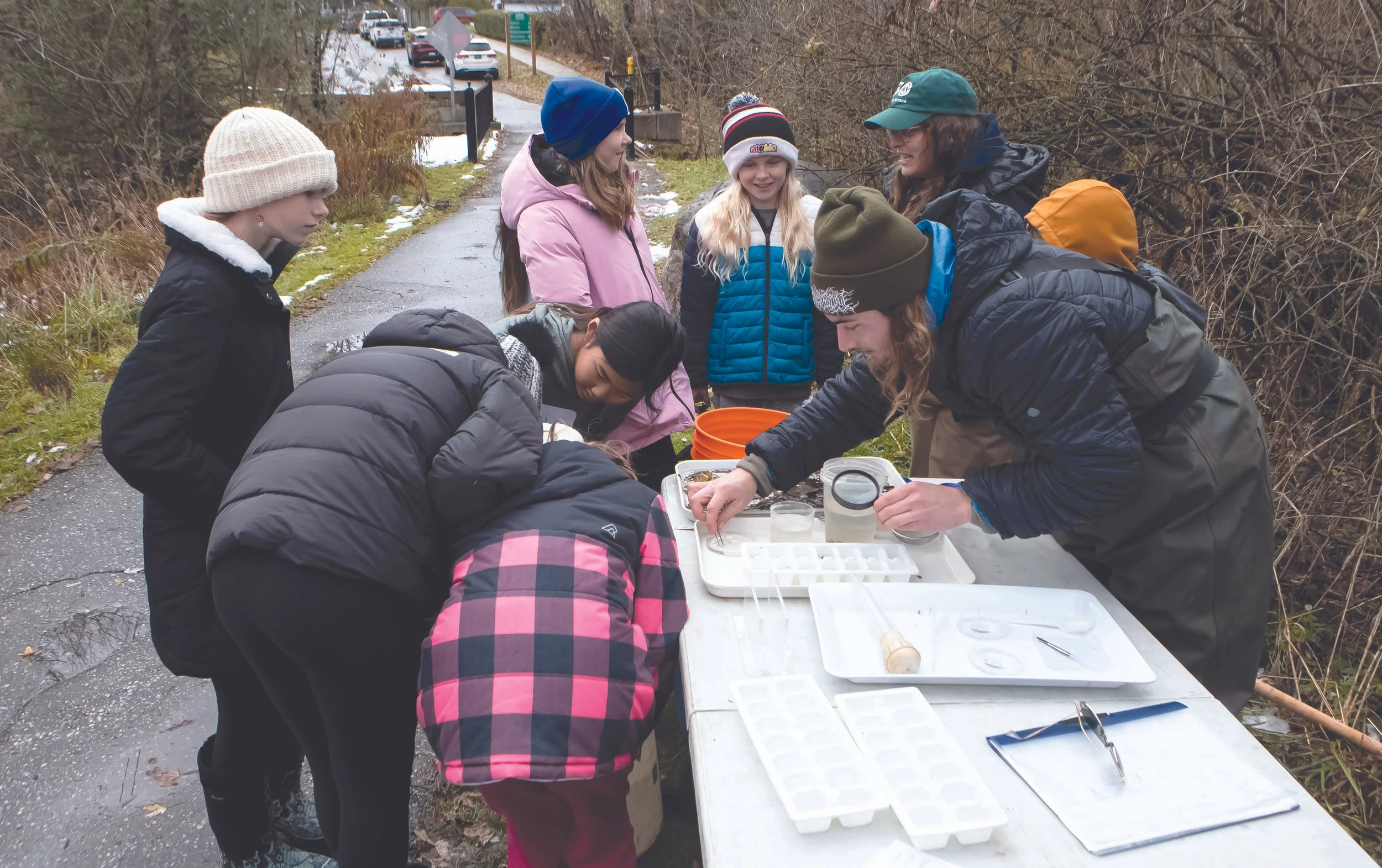 Children uproot trees behind township offices