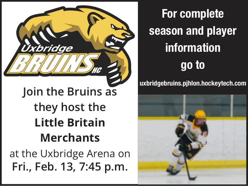 Bruins continue winning streak