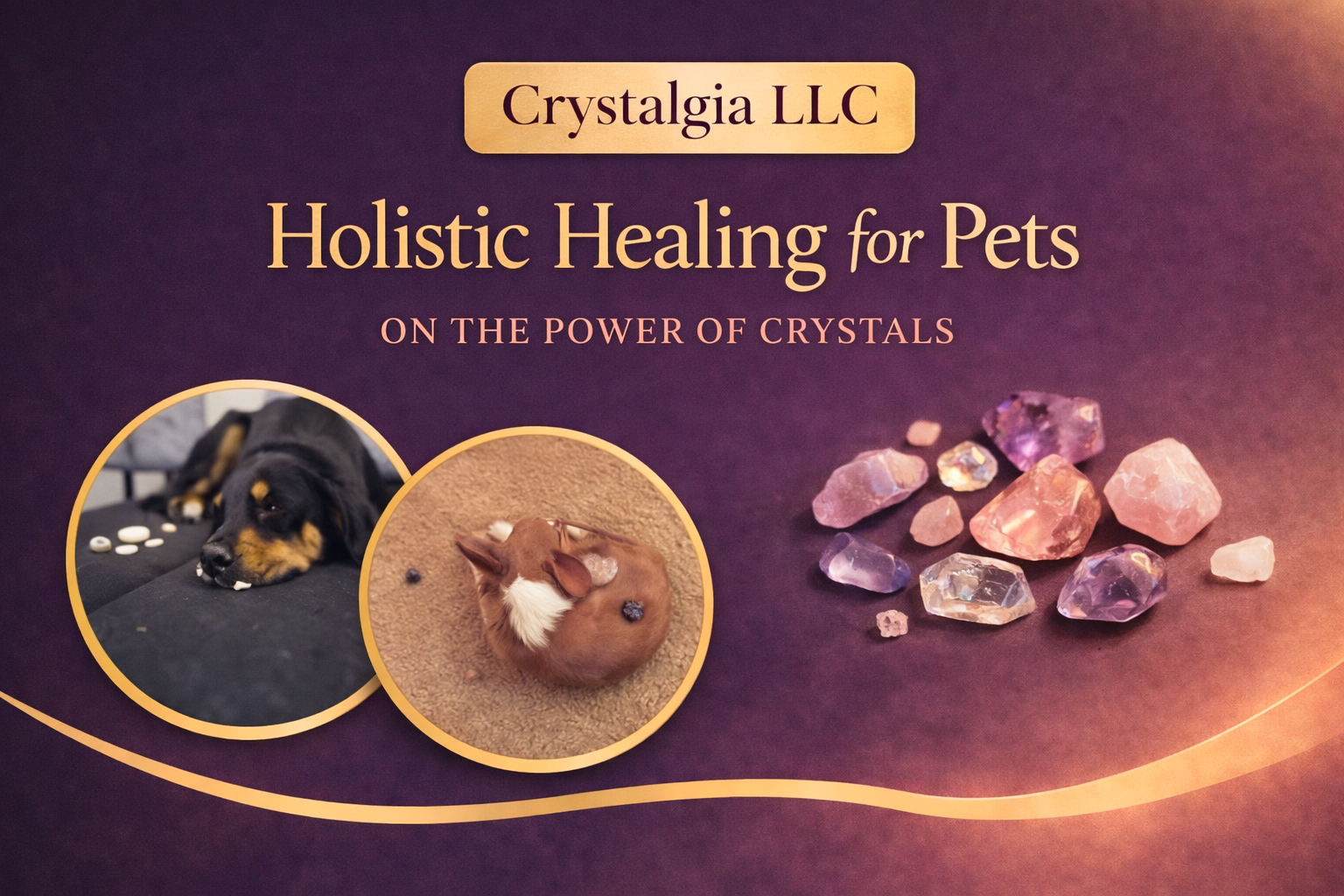 Why Vibrational Crystal Healing Works So Well for Dogs and Cats