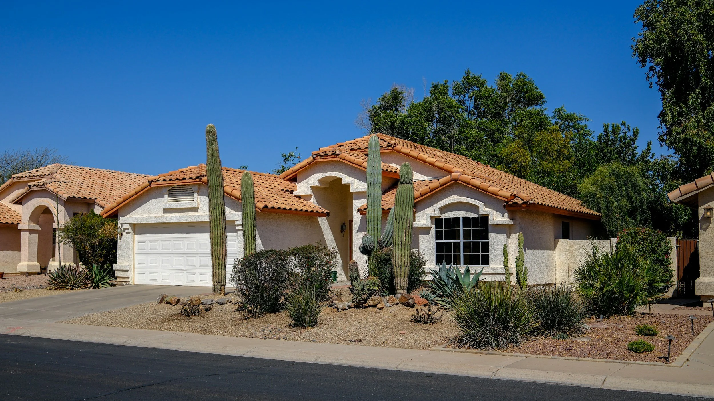 A house with a stucco exterior, tile roof, surrounded by desert plants and cacti, under a clear blue sky.