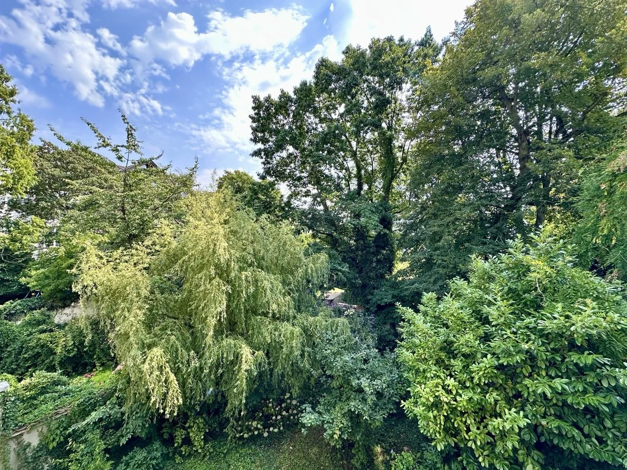 Groß (IMG_9723).jpeg