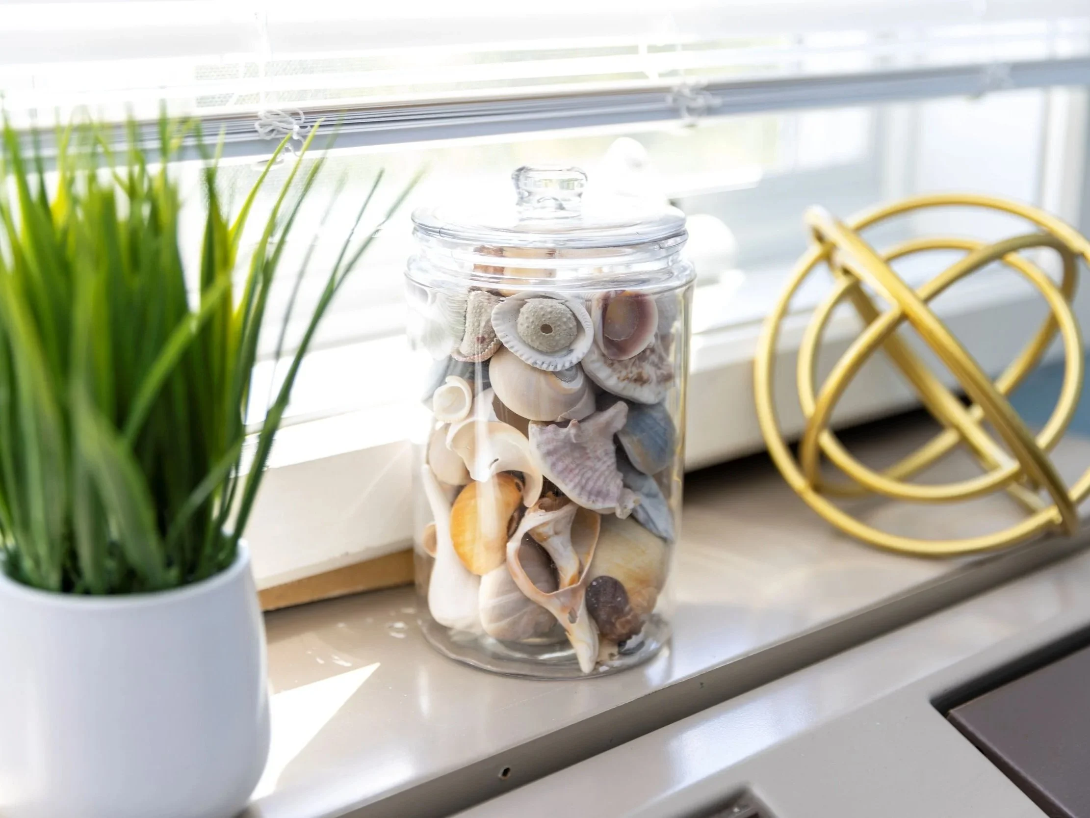 A clear glass jar filled with seashells sits on a white windowsill near a pot of green grass. Sunlight streams through closed blinds, illuminating the scene.