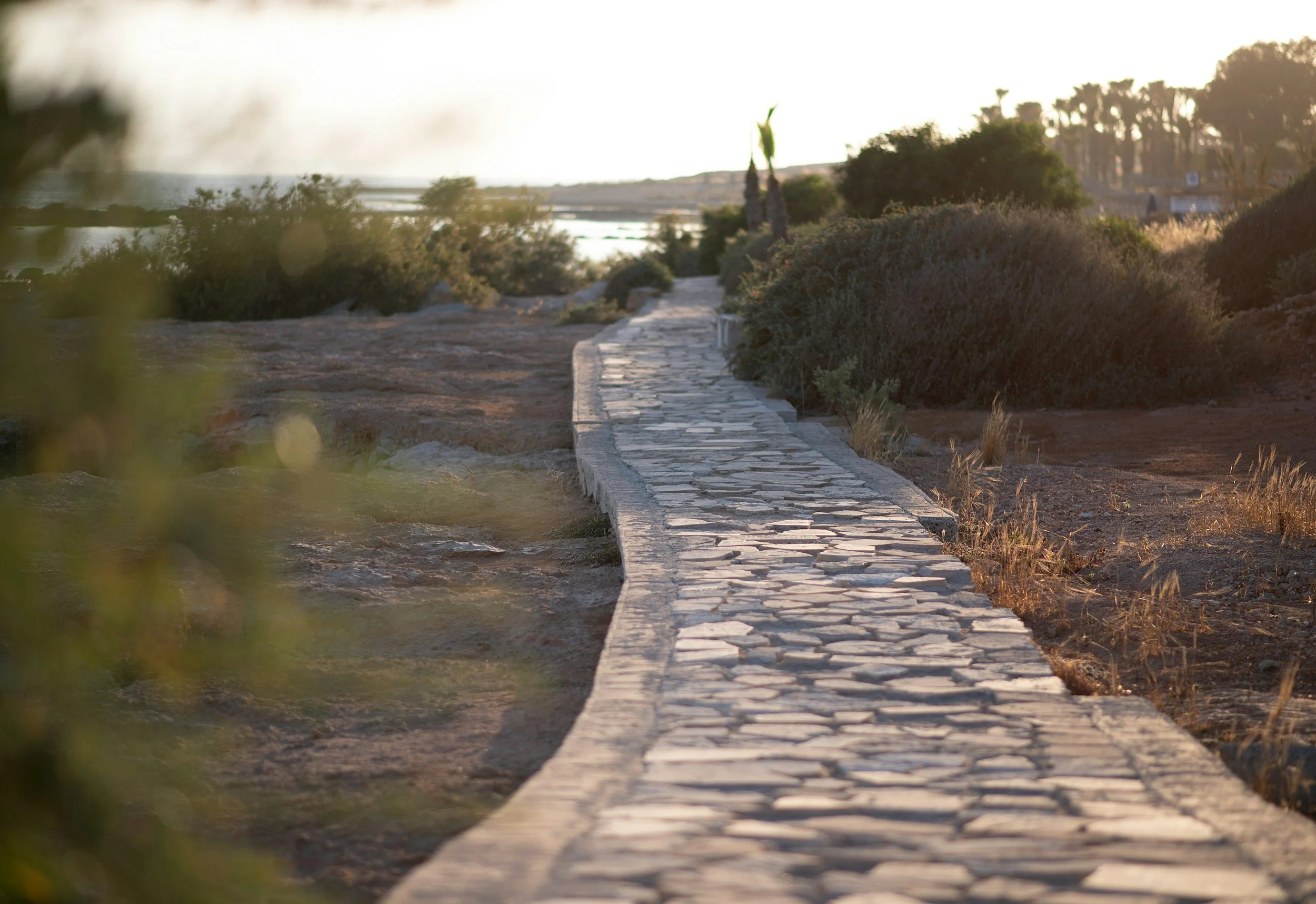 A stone pathway winding through dry shrubland near a water body, with palm trees in the background during sunset.