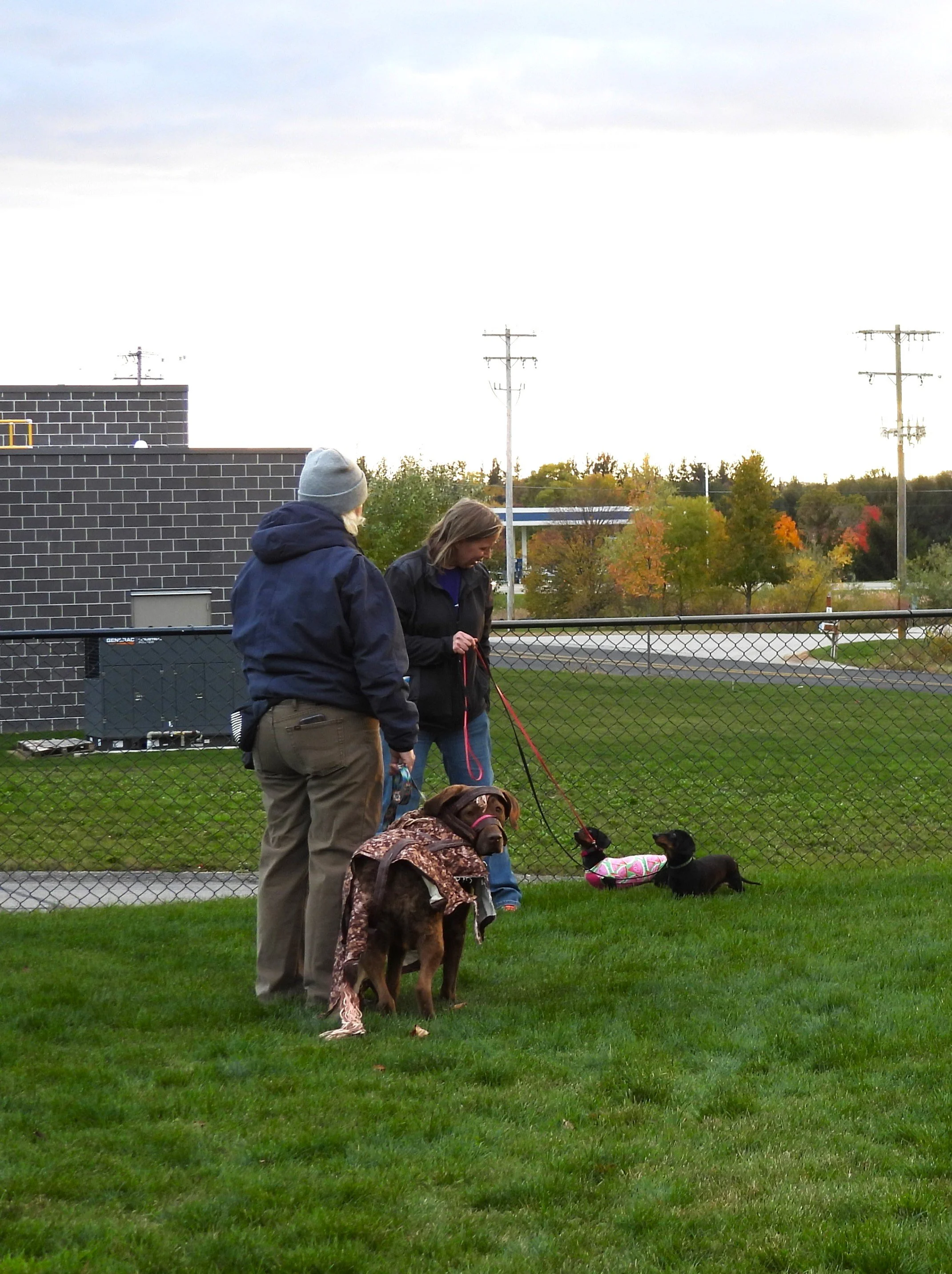 jewel prince drake.JPG