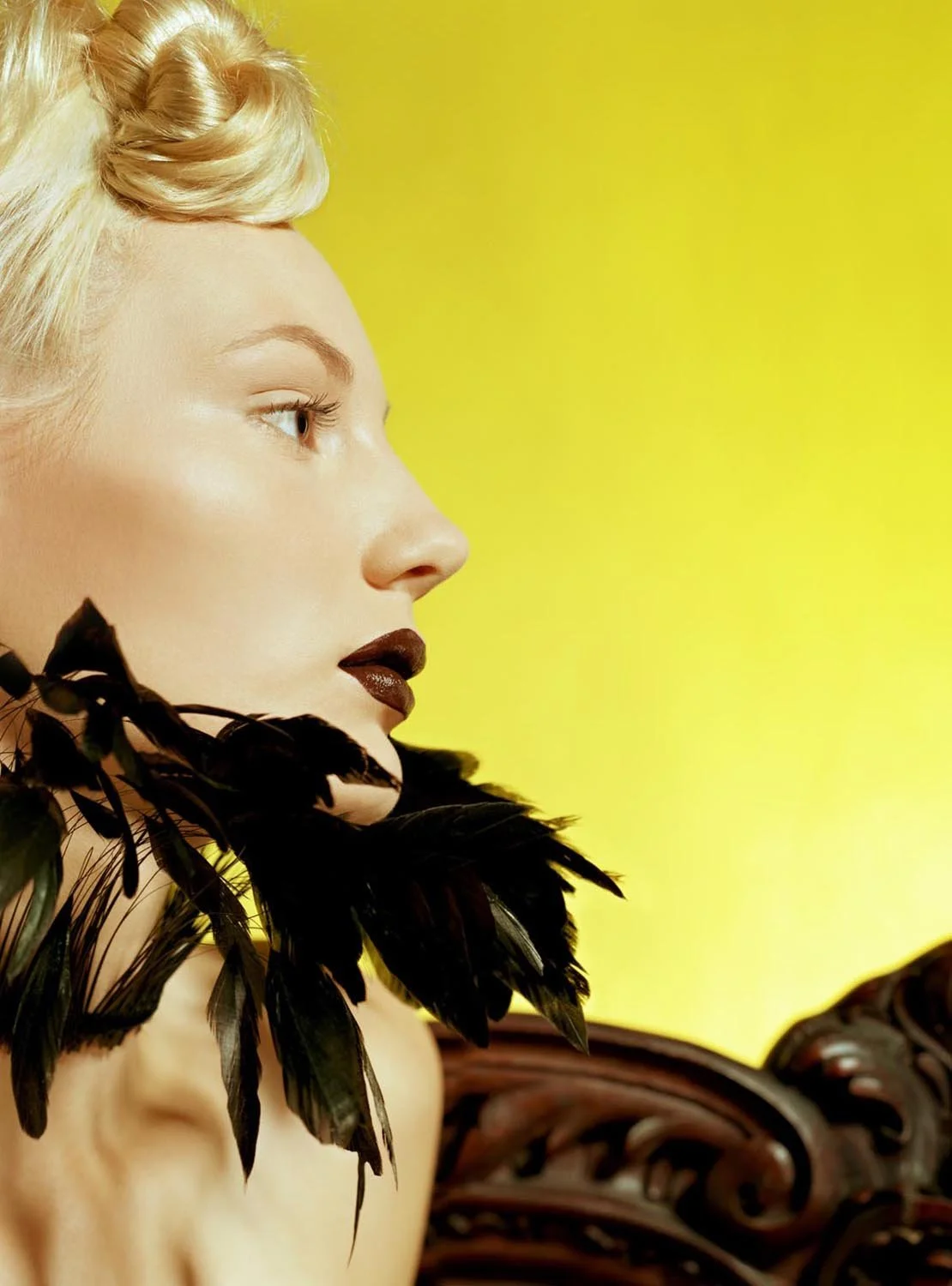 'Plume sur Jaune '