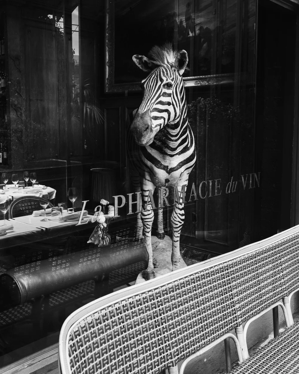 Bar photo 2
