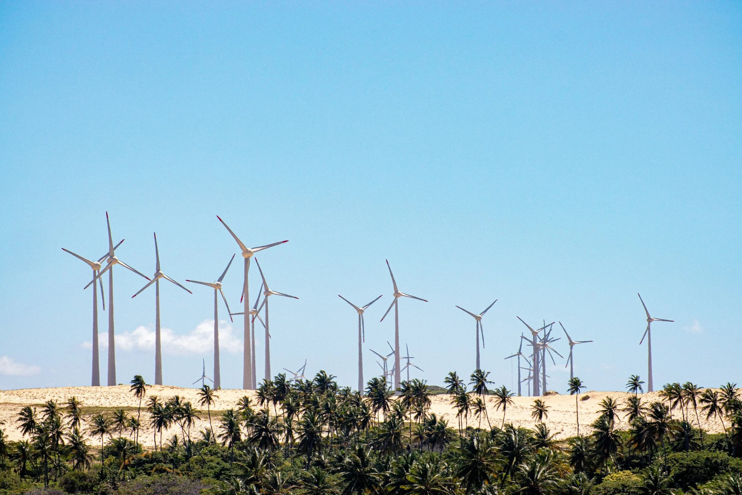 Wind turbines on a sandy hill with palm trees in the foreground, under a clear blue sky.