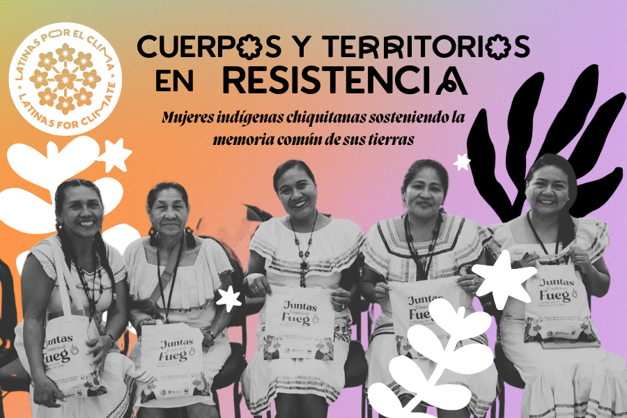 Cuerpos y territorios en resistencia
