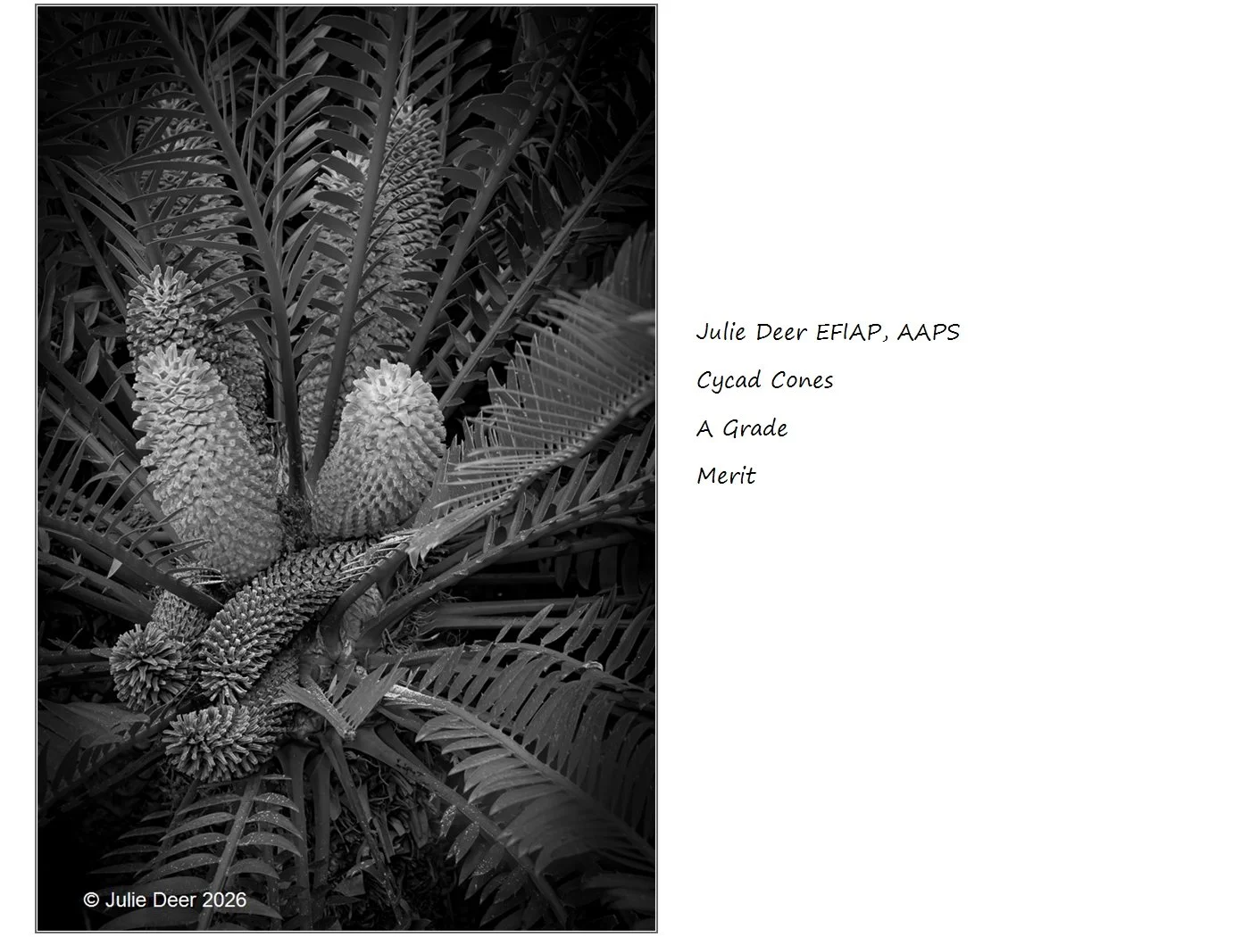00016A Grade$.jpg