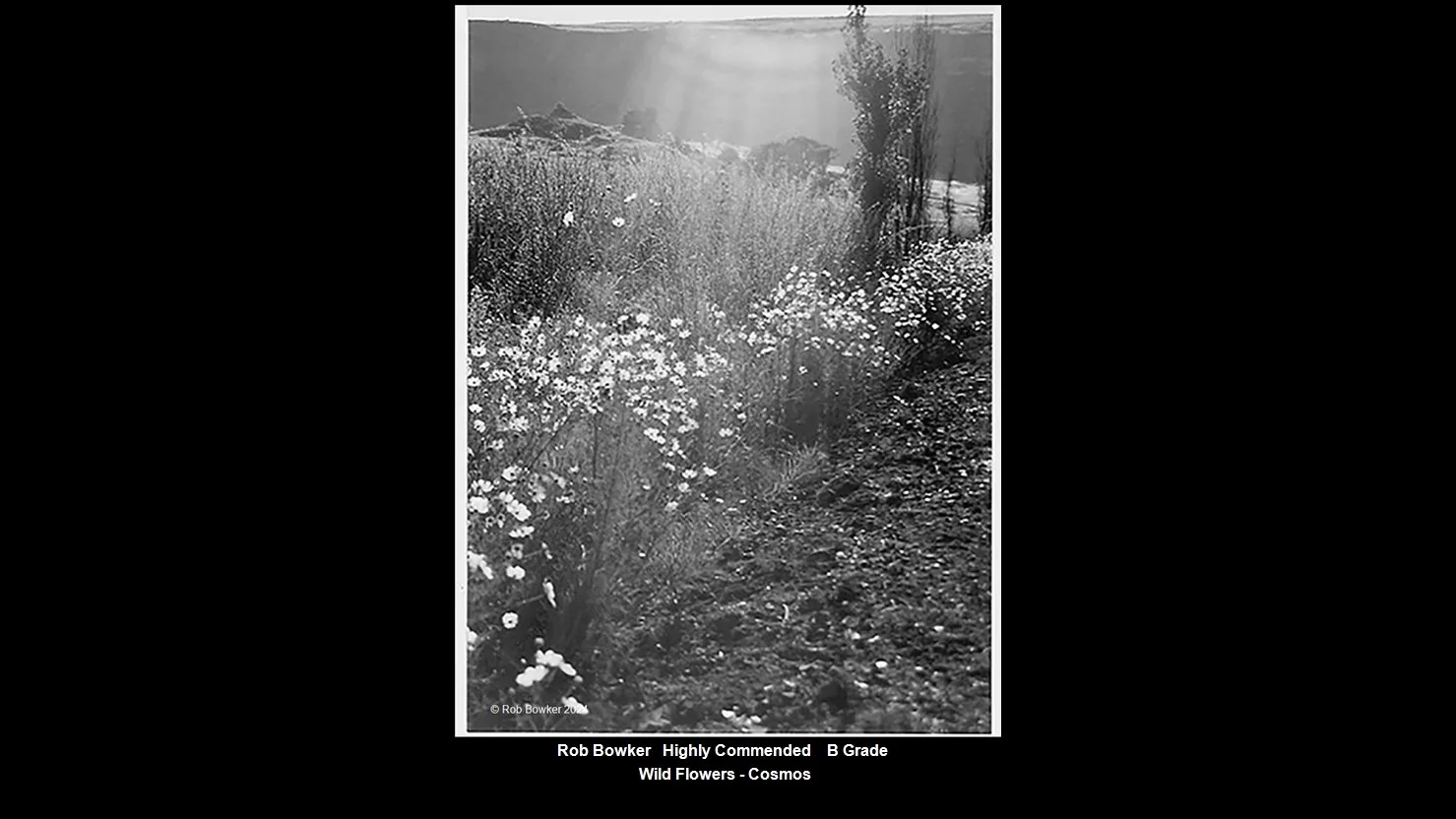 00095B Grade$.jpg