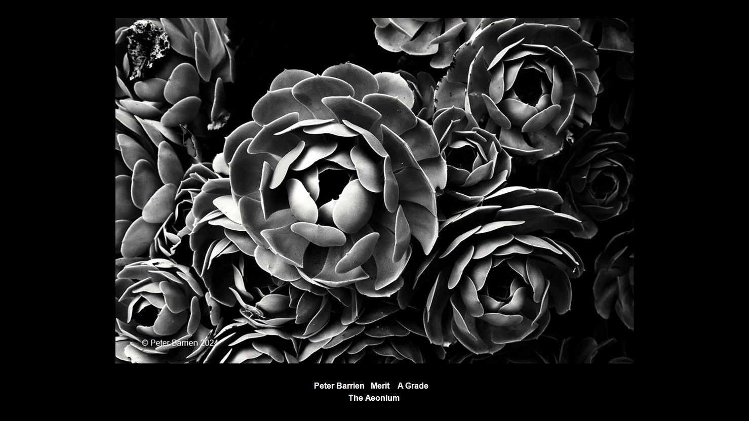 00039A Grade$.jpg