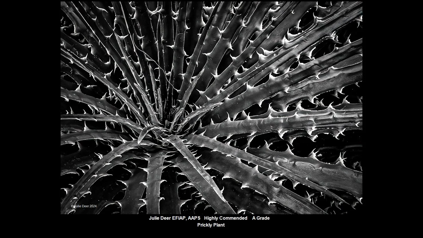 00062A Grade$.jpg