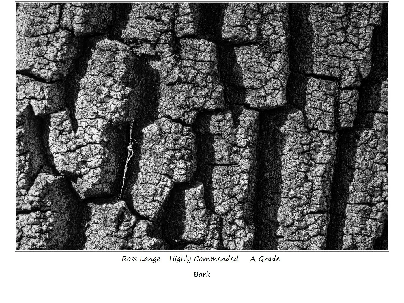 00093A Grade$.jpg