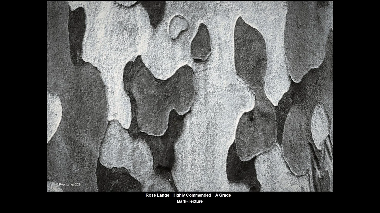 00040A Grade$.jpg