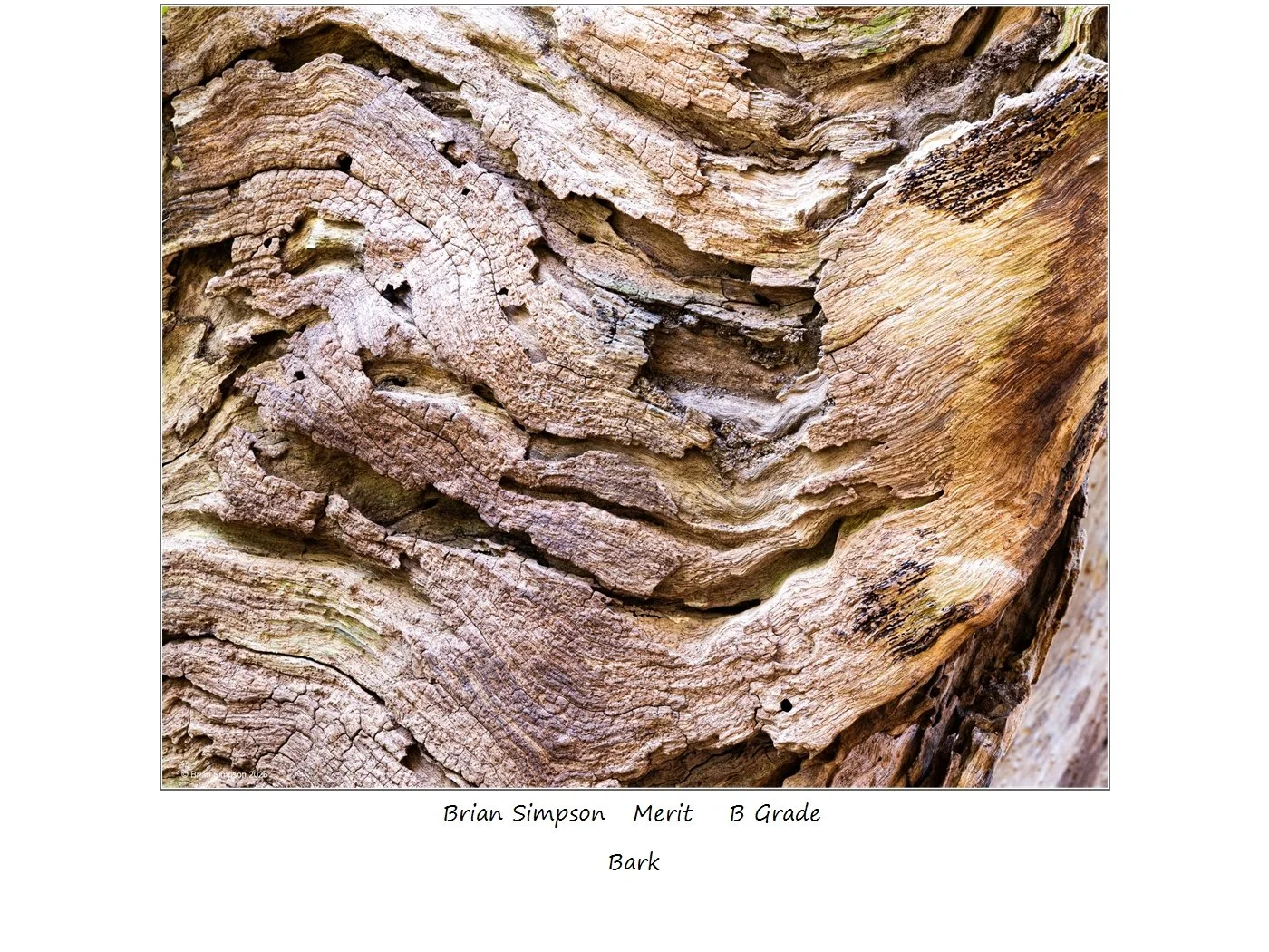 00027B Grade$.jpg