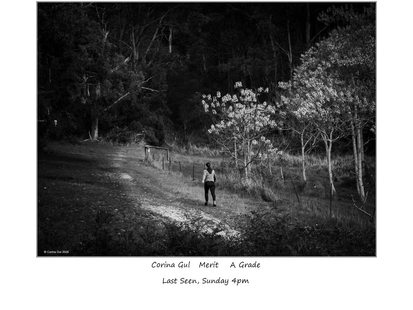 00032A Grade$.jpg
