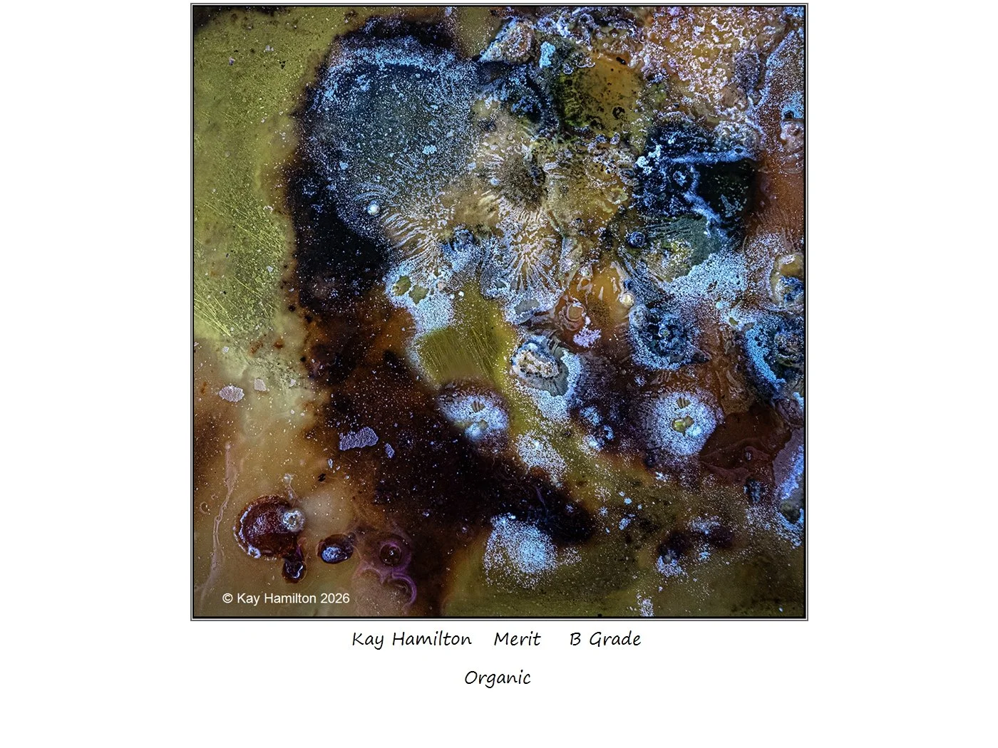 00022B Grade$.jpg