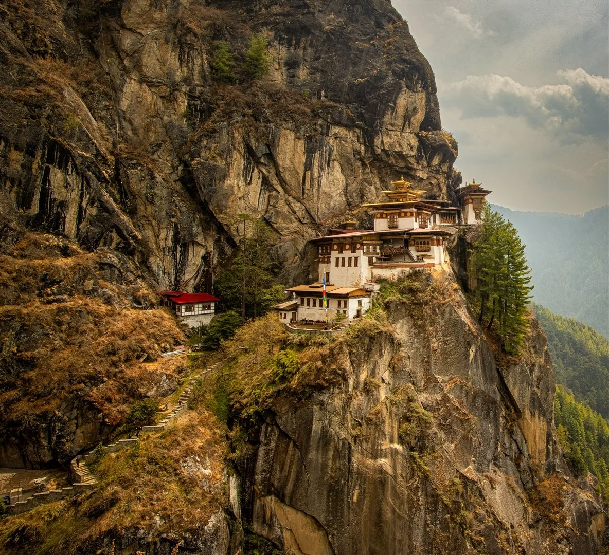Lesley Patterson EFIAP, FAPS, The Tigers Nest,.jpg