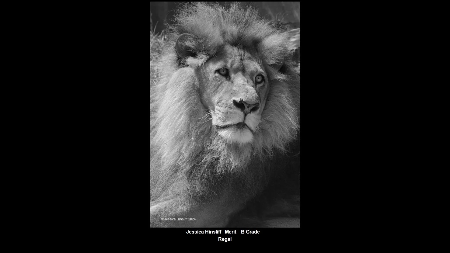 00016B Grade$.jpg