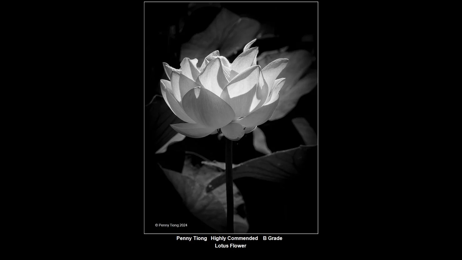 00038B Grade$.jpg