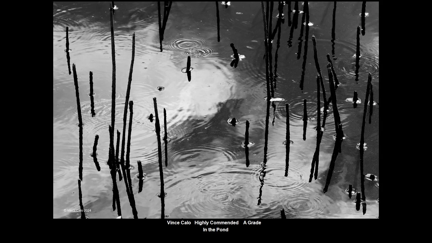 00031A Grade$.jpg