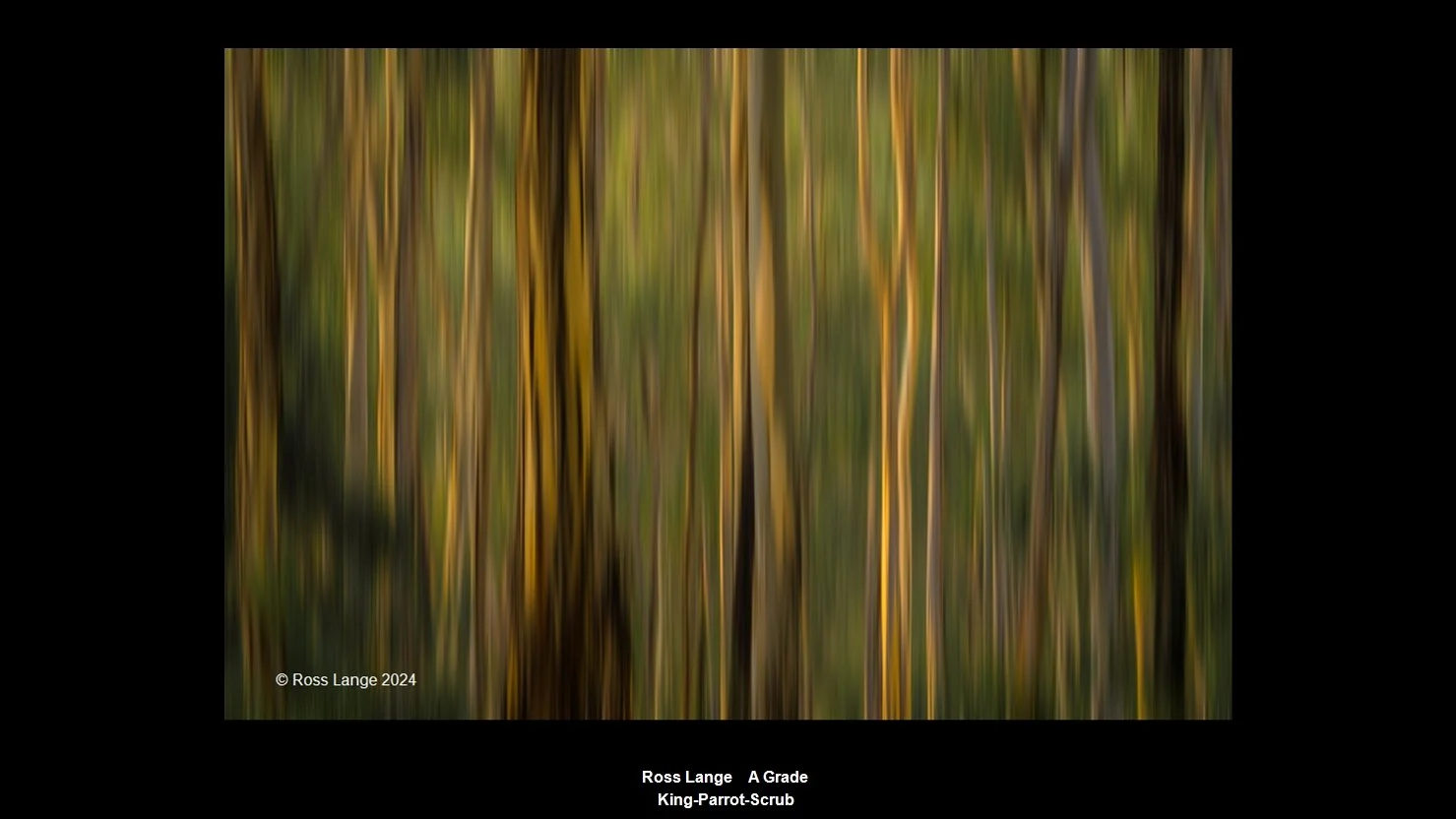 00026A Grade.jpg