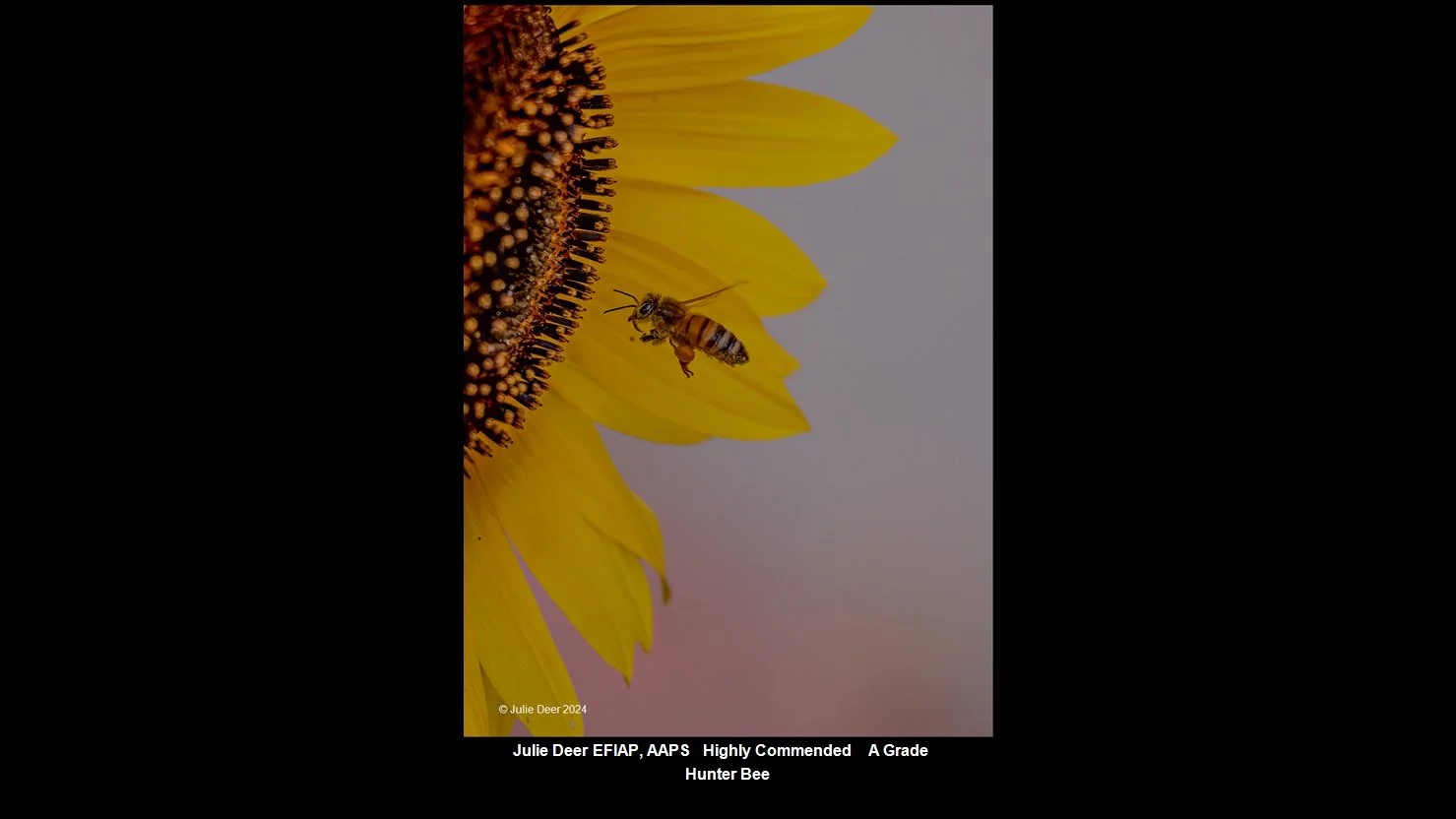 00047A Grade$.jpg