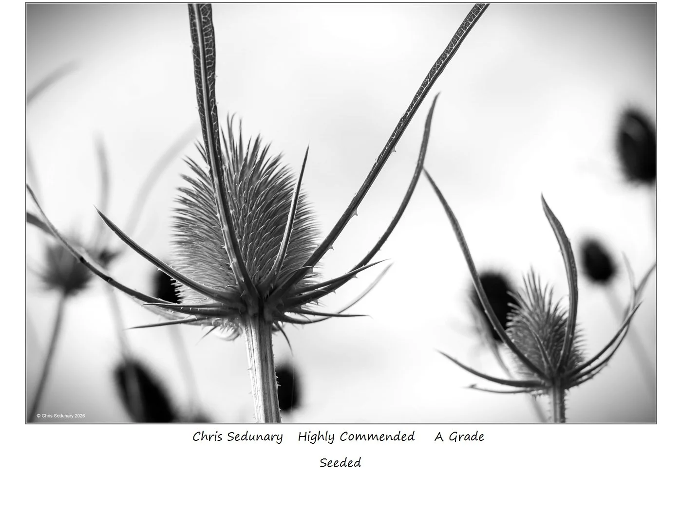 00040A Grade$.jpg