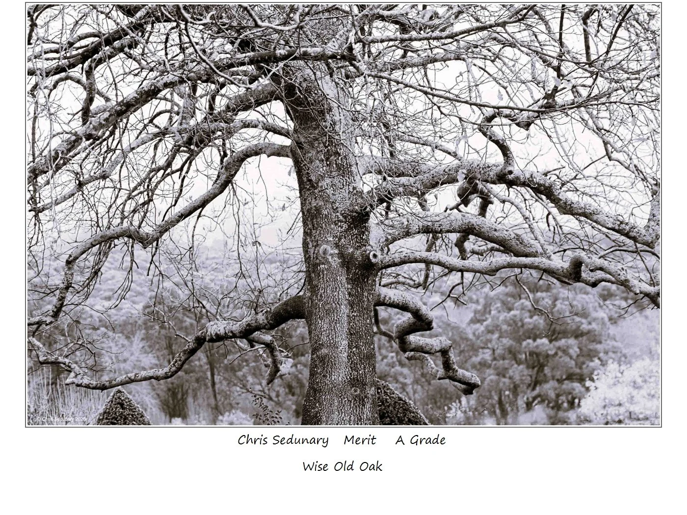 00015A Grade$.jpg