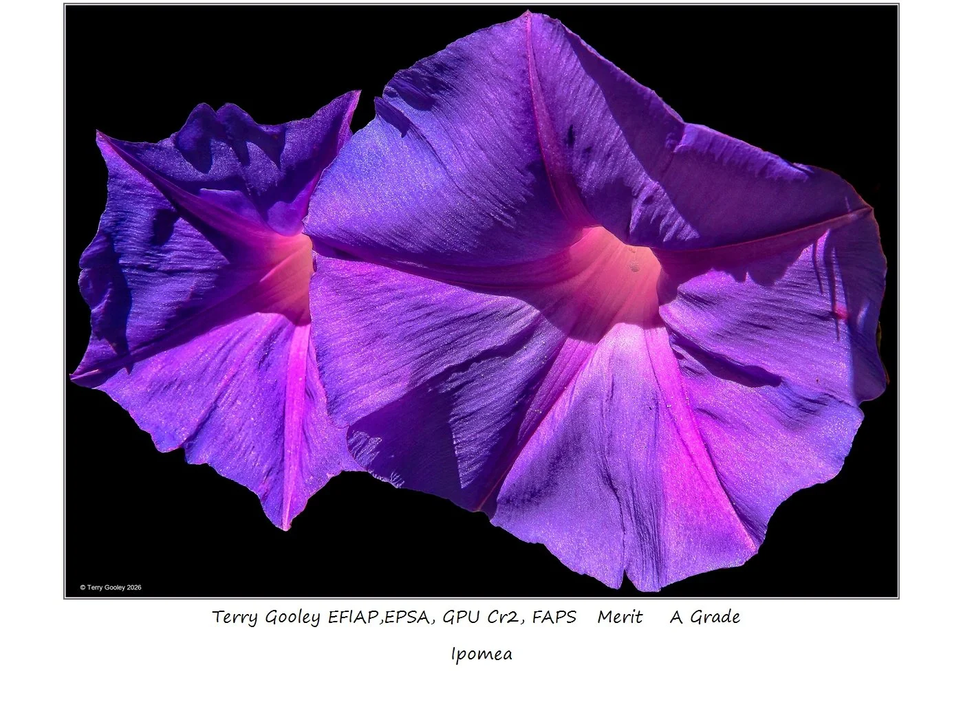 00033A Grade$.jpg