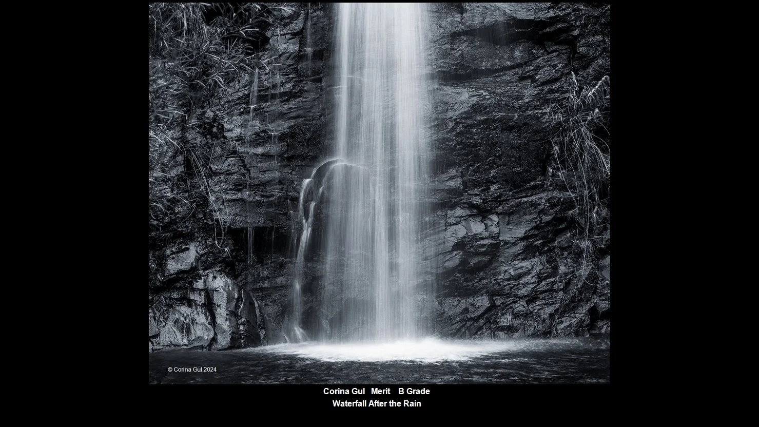 00046B Grade$.jpg