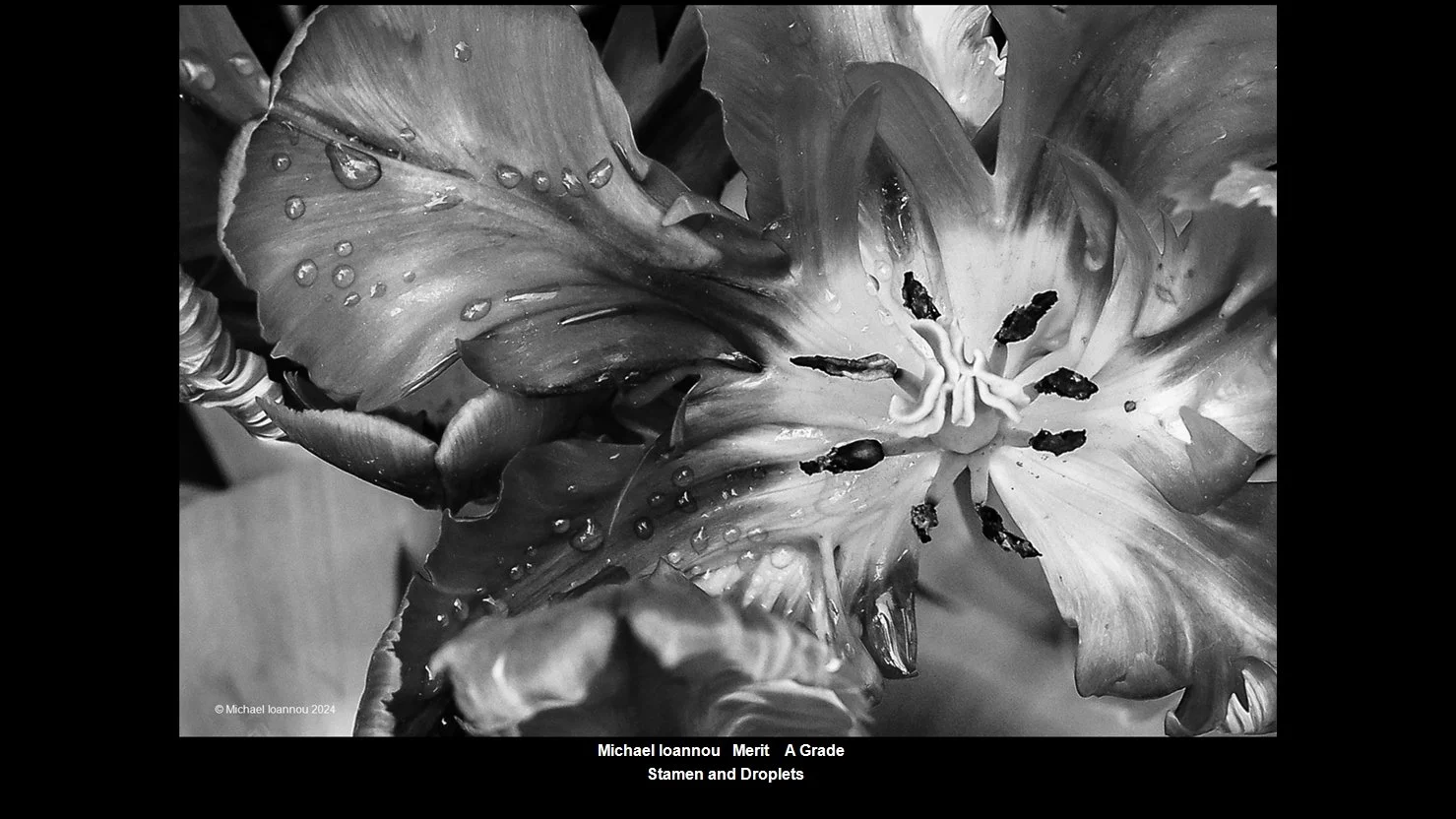00041A Grade$.jpg