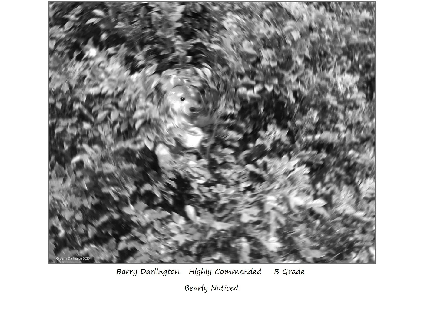 00053B Grade$.jpg