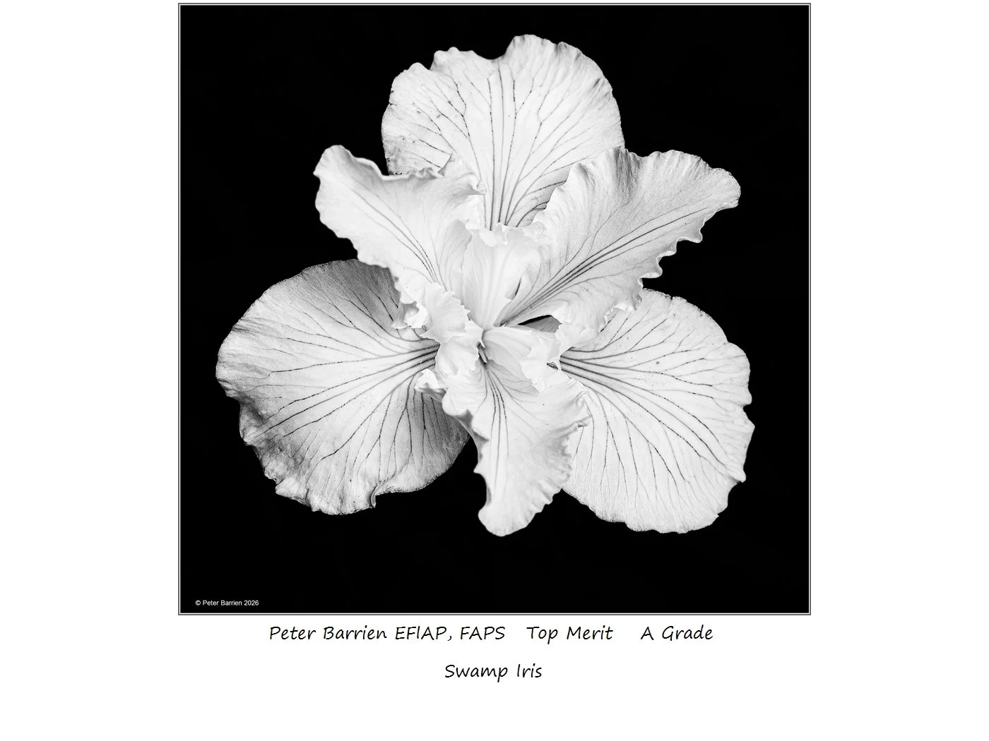 00019A Grade$.jpg