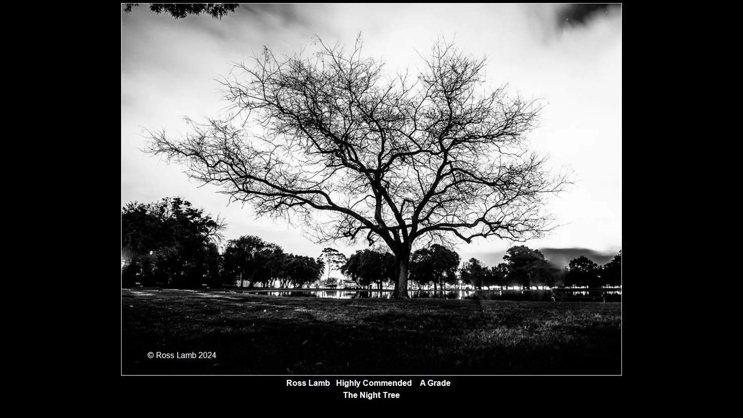 00038A Grade$.jpg