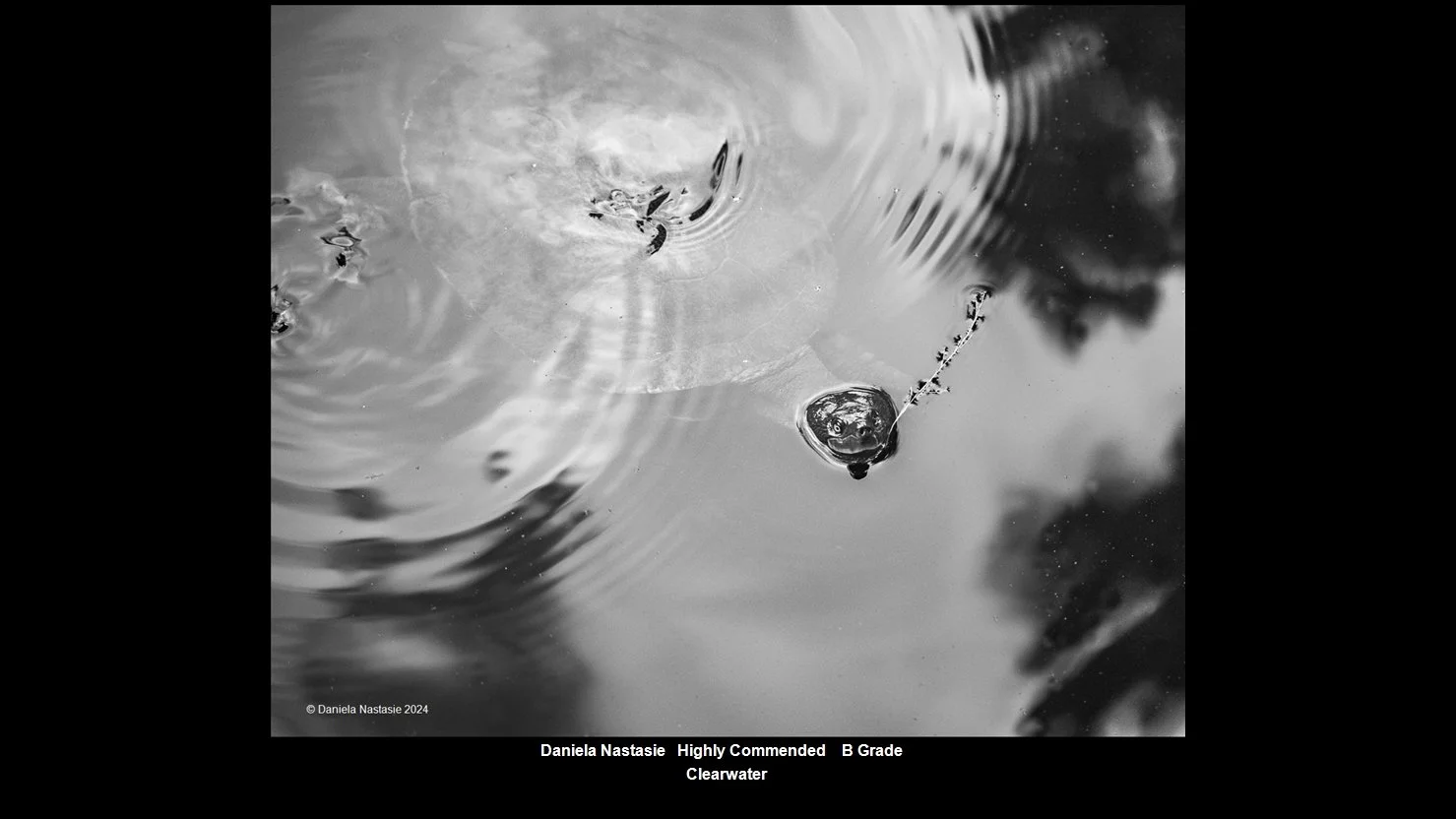 00066B Grade$.jpg