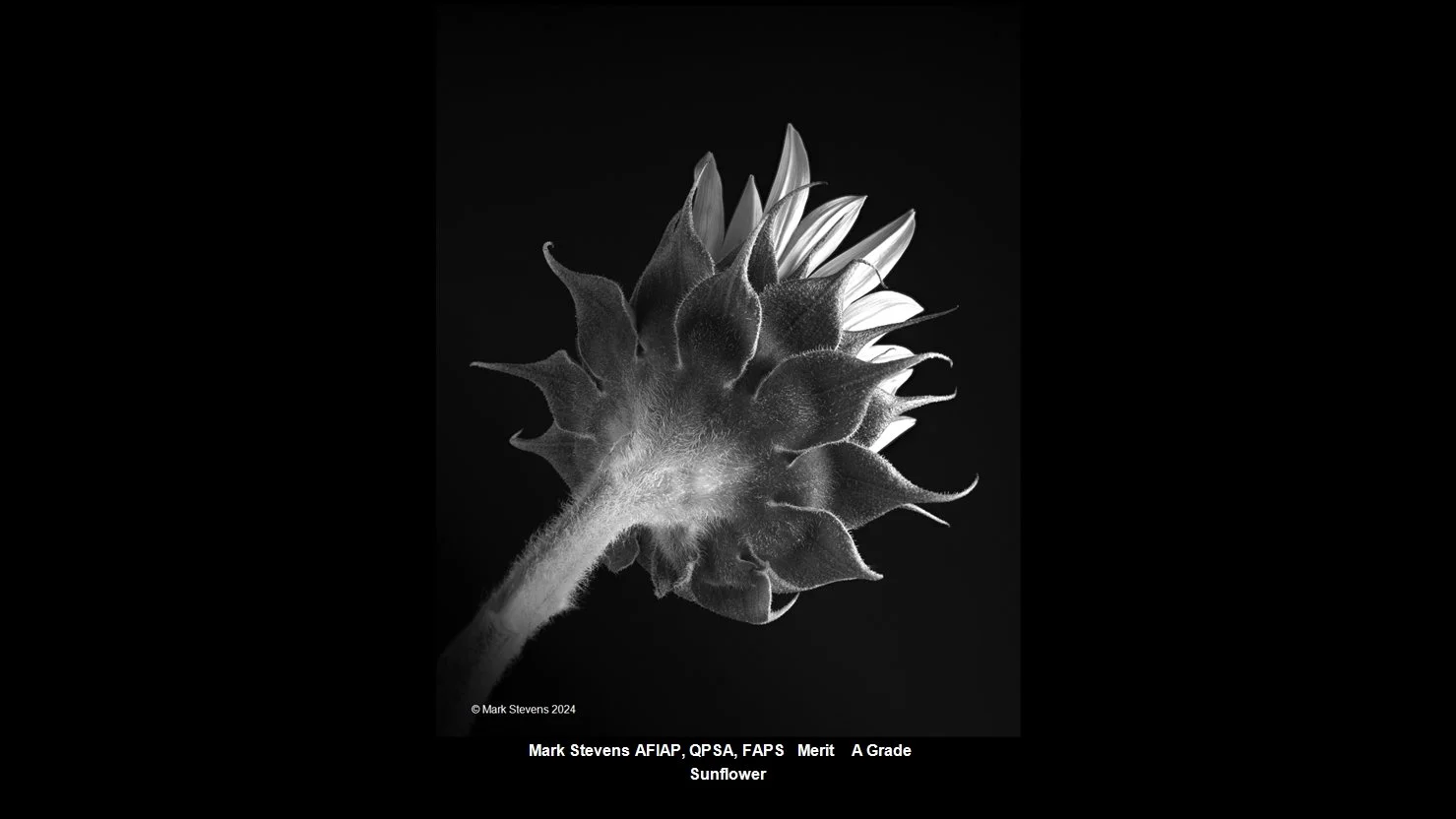 00014A Grade$.jpg