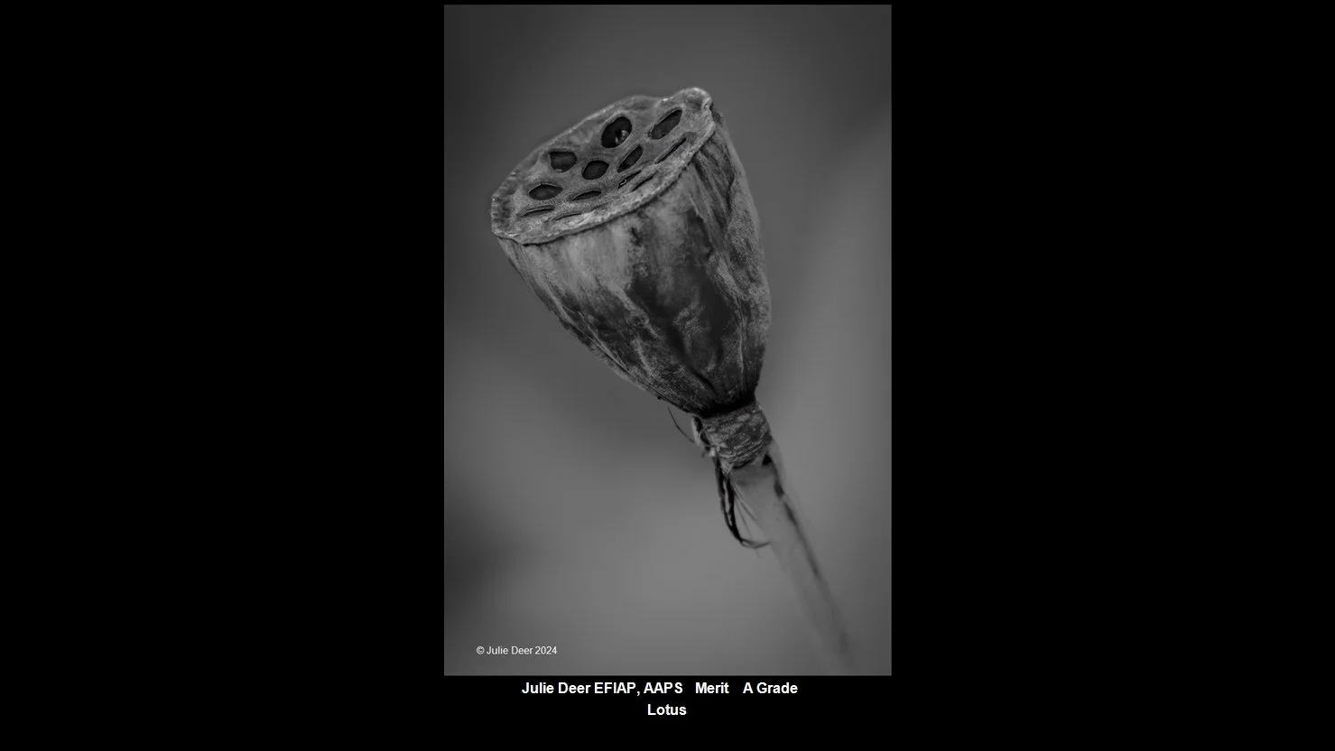 00031A Grade$.jpg
