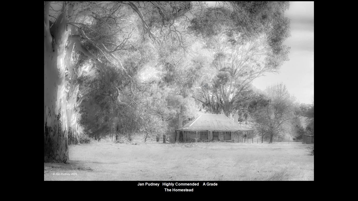 00031A Grade$.jpg