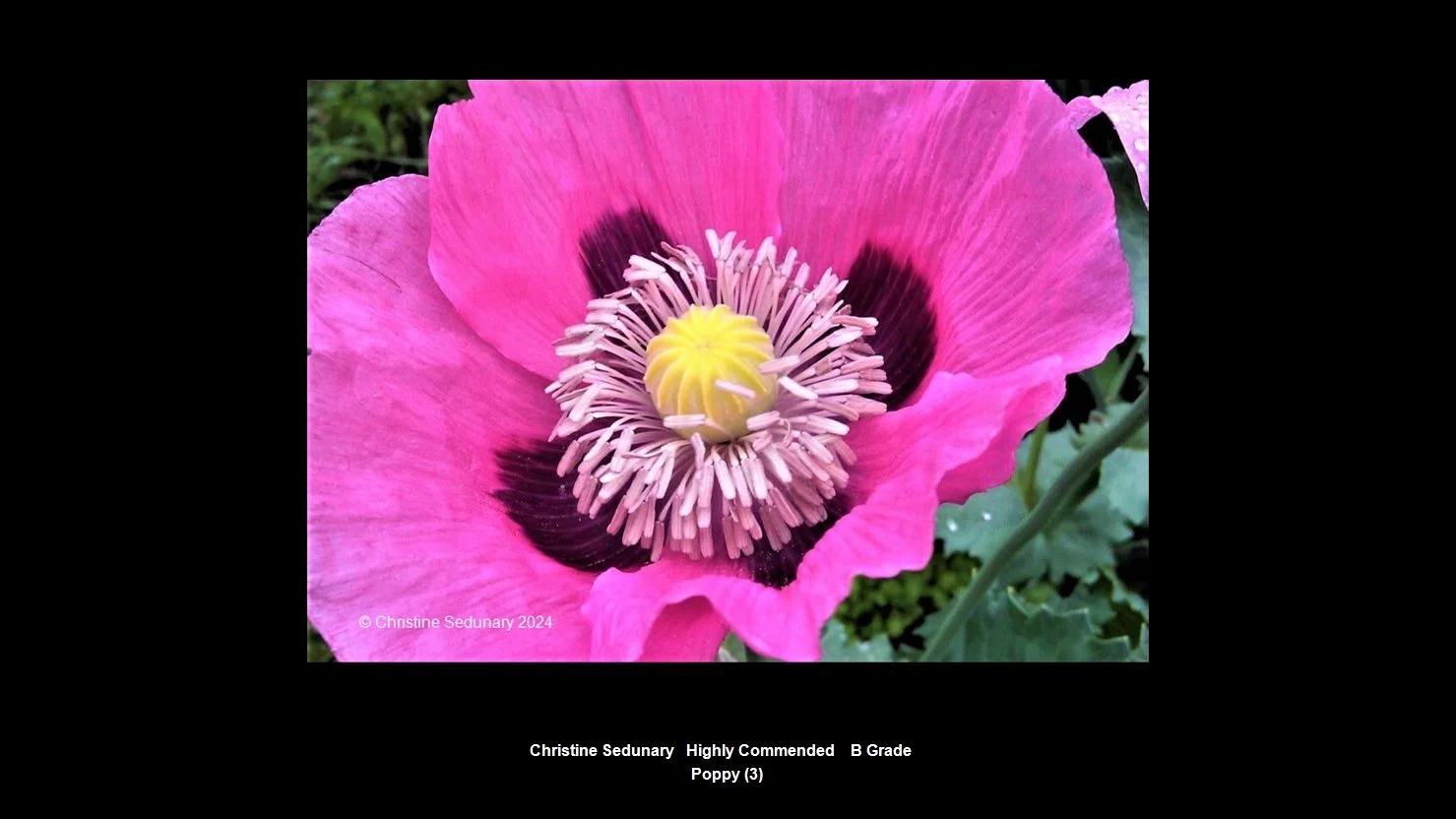 00028B Grade$.jpg