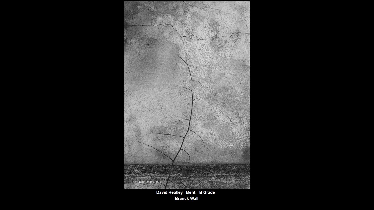 00027B Grade$.jpg