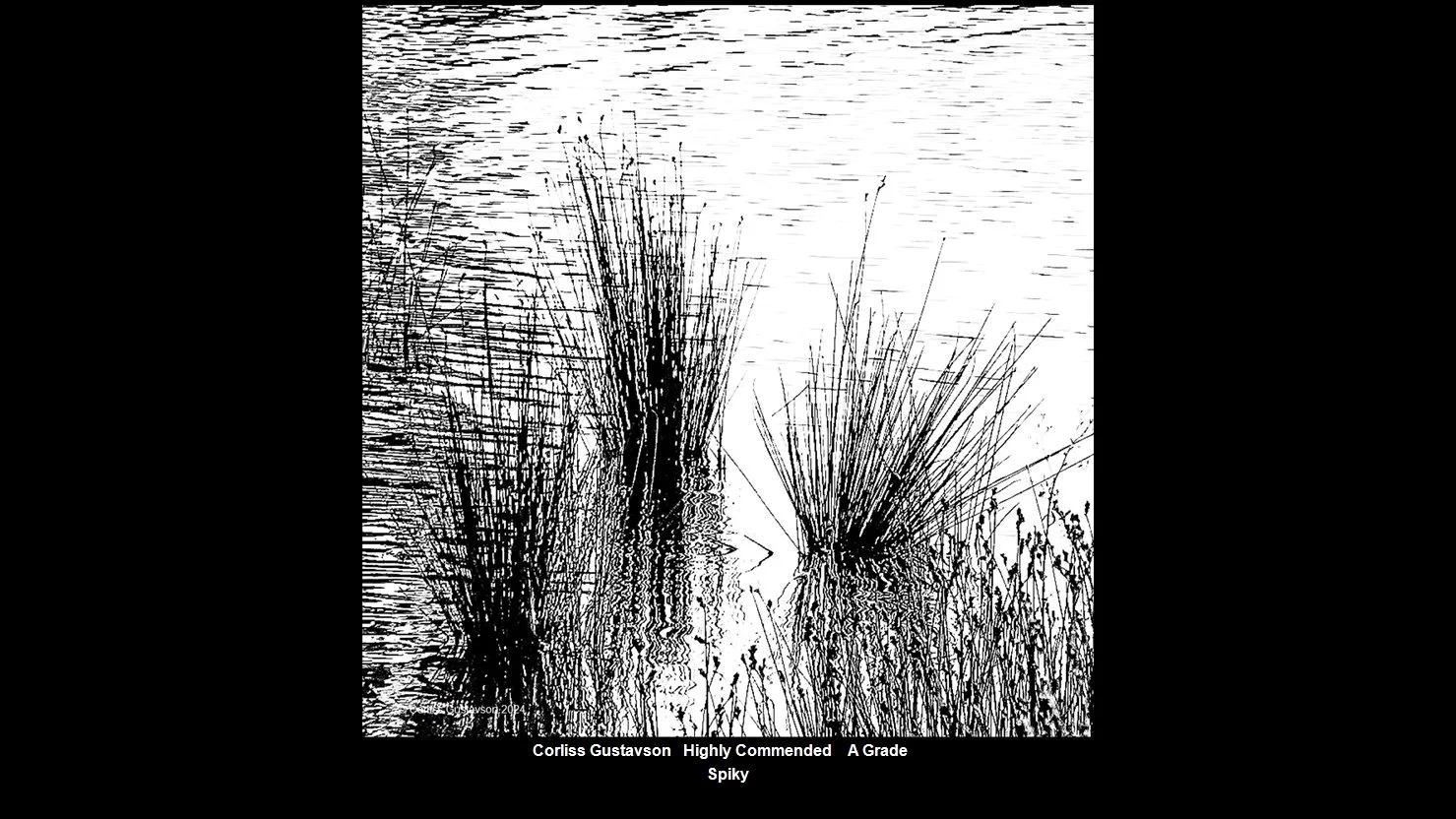 00046A Grade$.jpg
