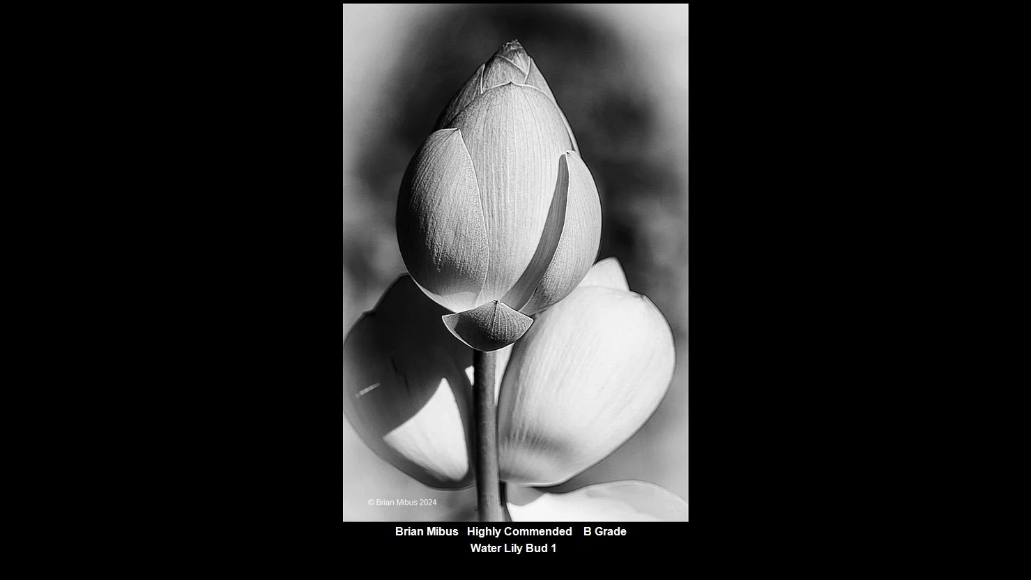 00034B Grade$.jpg