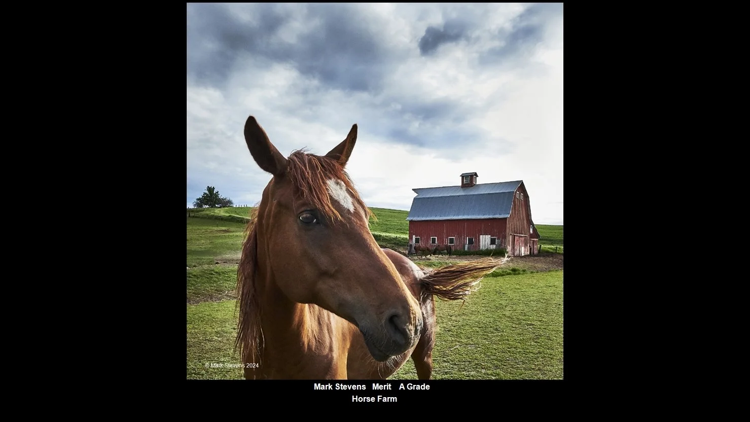00014A Grade$.jpg
