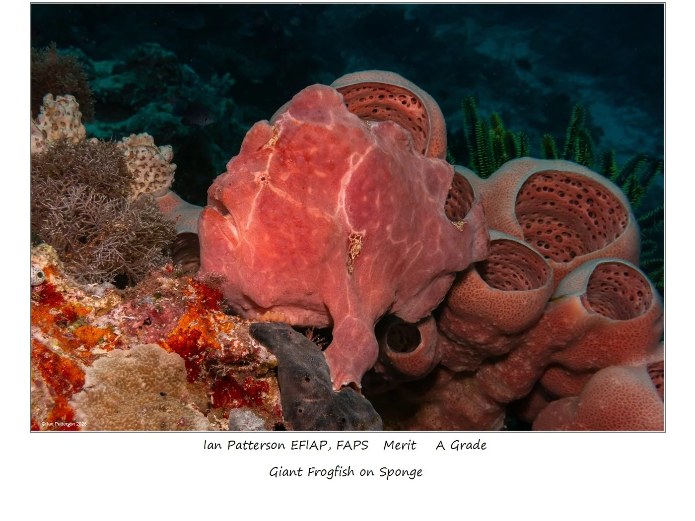 00033A Grade$.jpg
